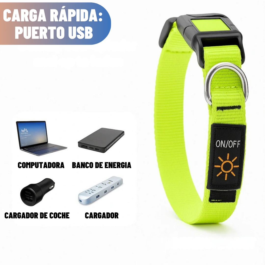 SafePaw™ Collar Brillante LED