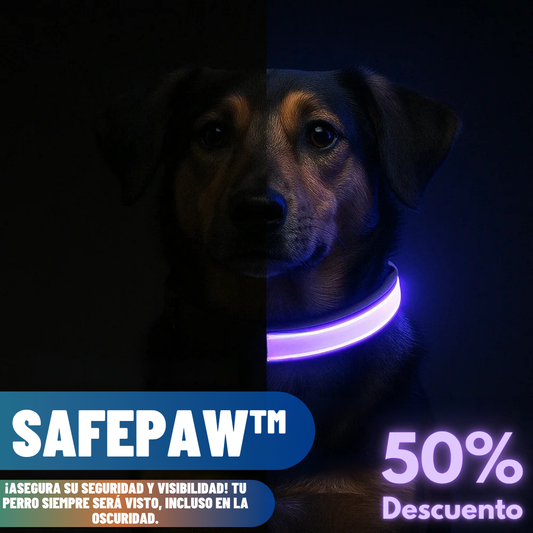 SafePaw™ Collar Brillante LED