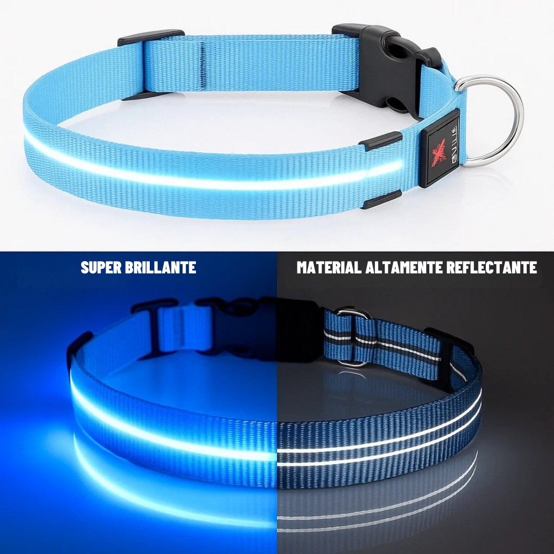 SafePaw™ Collar Brillante LED