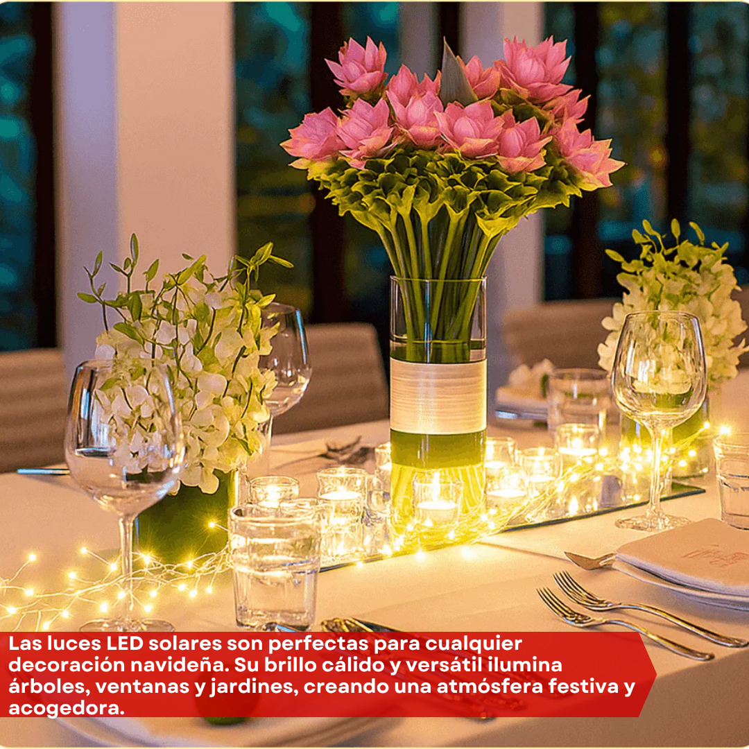 🎄 PROMO NAVIDEÑA 2x1 ✨Ilumina tu Hogar con Energía Renovable⚡️