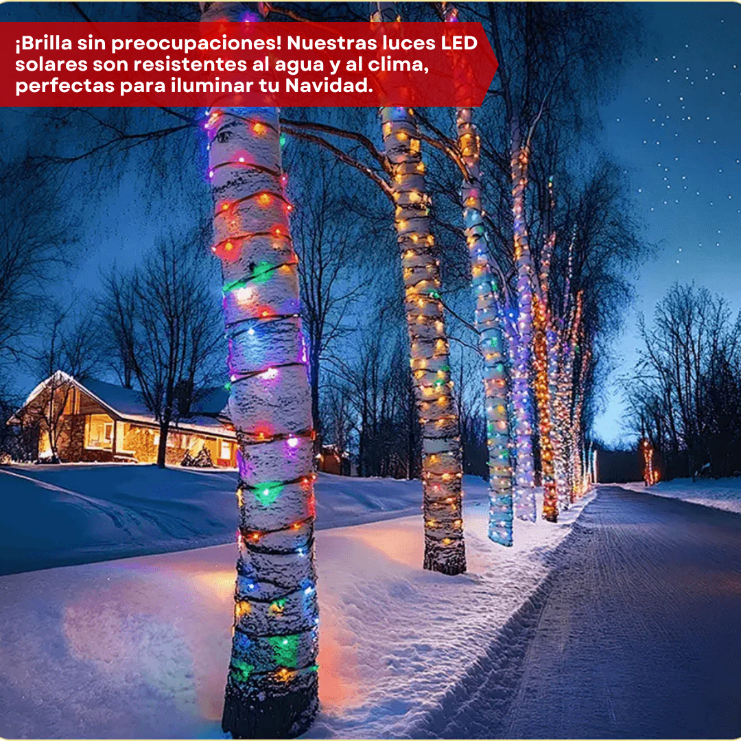🎄 PROMO NAVIDEÑA 2x1 ✨Ilumina tu Hogar con Energía Renovable⚡️