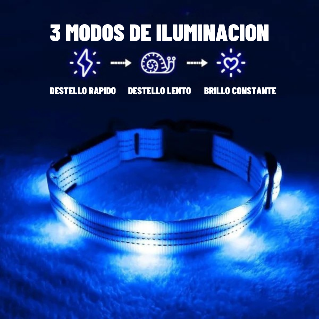 SafePaw™ Collar Brillante LED
