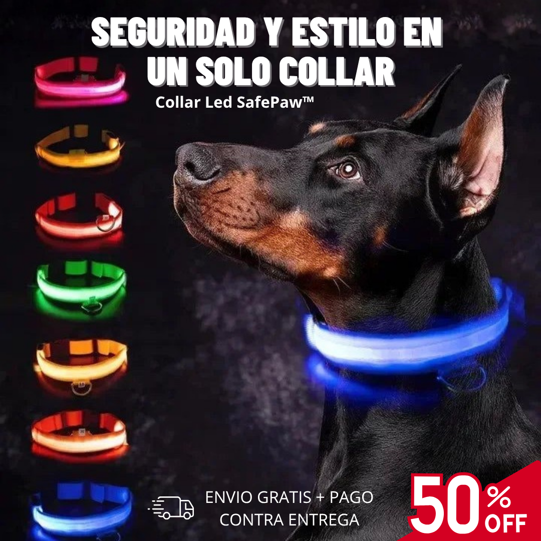 SafePaw™ Collar Brillante LED